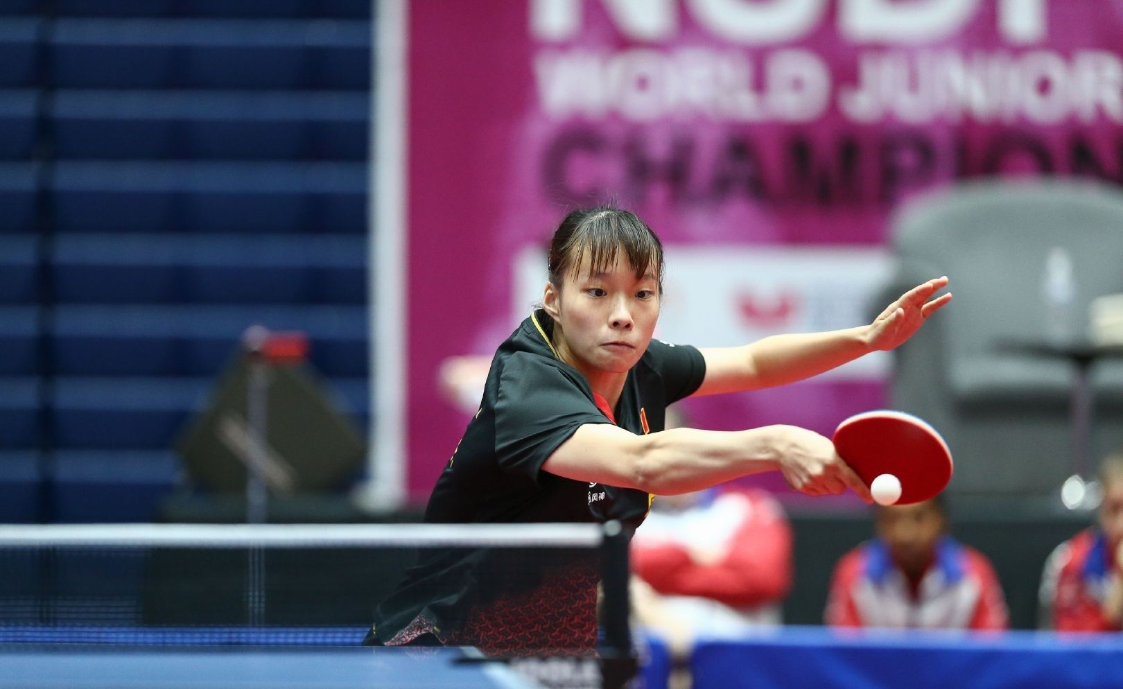 都是成功的 都是成功的